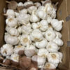 Garlic (Spain, Argentina, Peru, Mexico) - Image 2